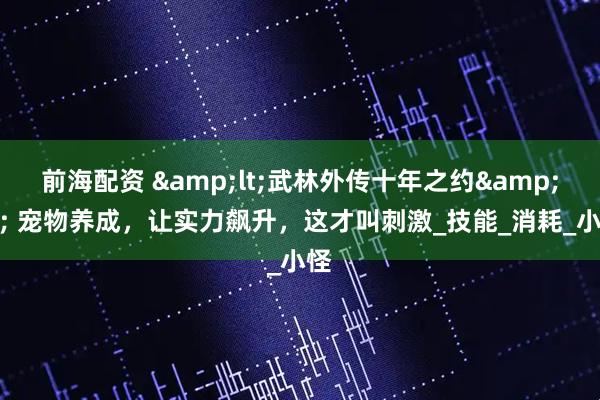 前海配资 &lt;武林外传十年之约&gt; 宠物养成，让实力飙升，这才叫刺激_技能_消耗_小怪