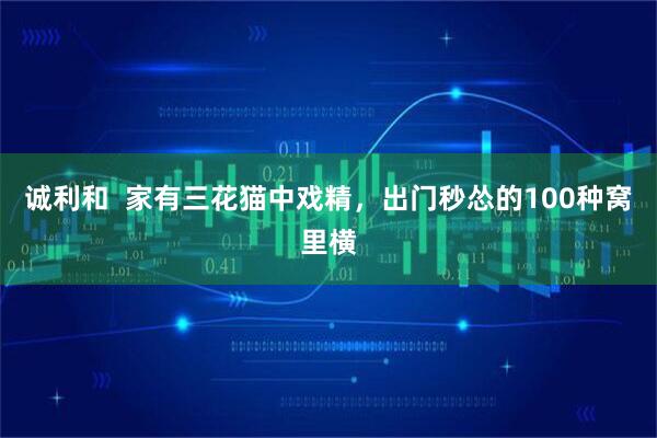 诚利和  家有三花猫中戏精，出门秒怂的100种窝里横
