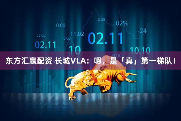东方汇赢配资 长城VLA：嗯，是「真」第一梯队！